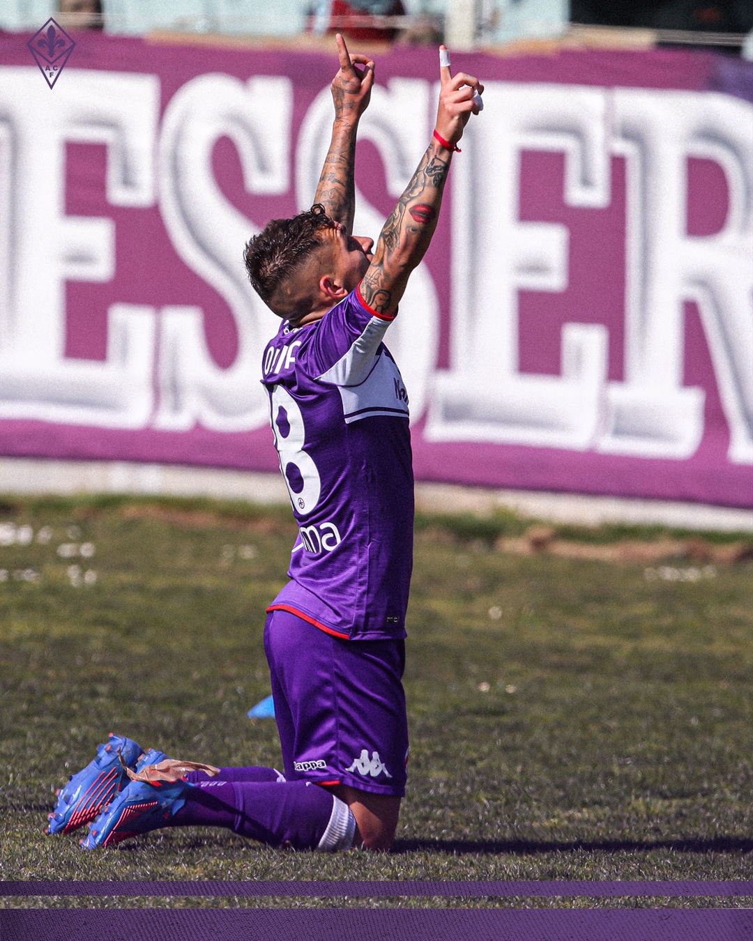 Torreira