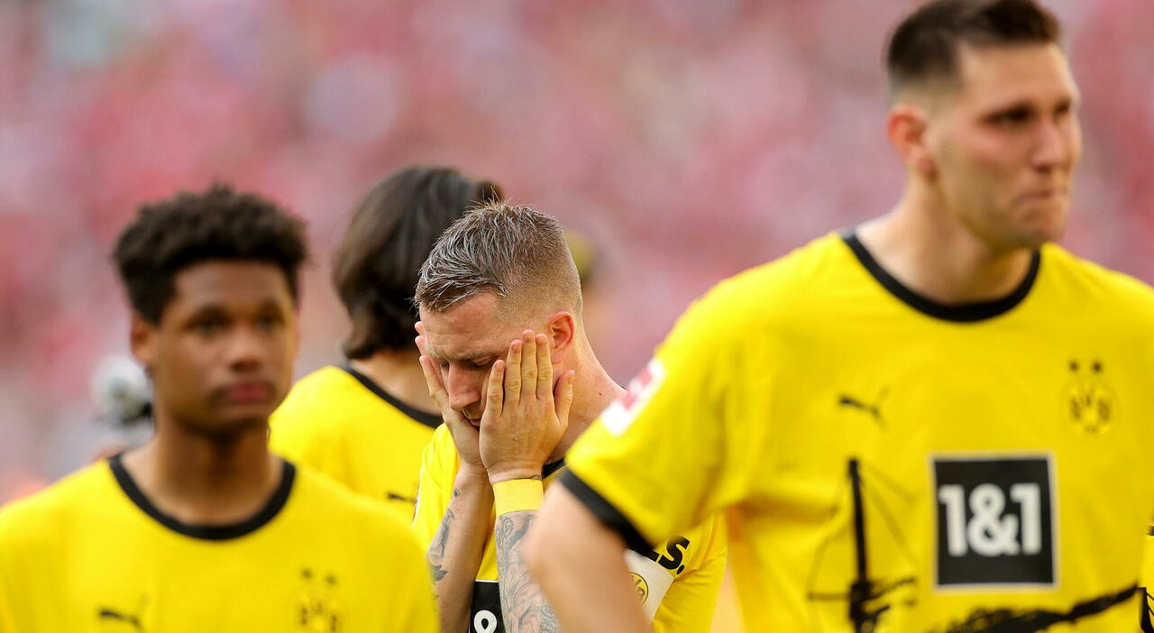 Bundesliga Borussia Dortmund