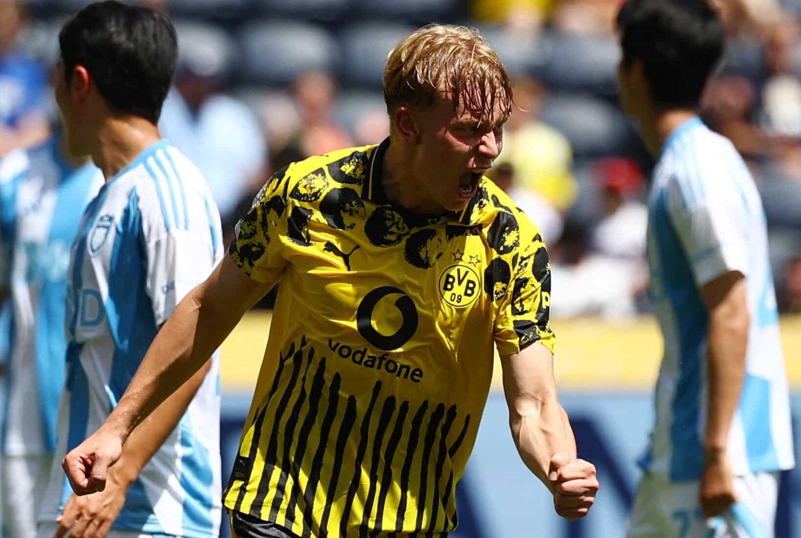 Borussia Dortmund ulsan